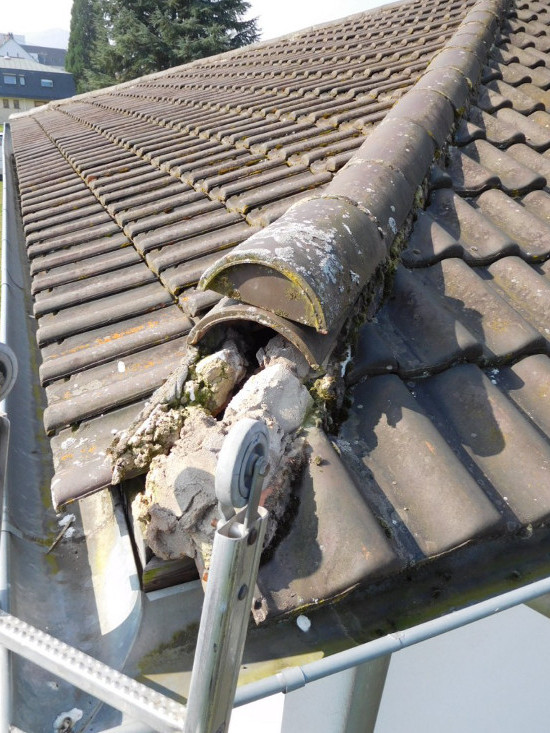 reparation fuite gouttiere saverne bas rhin 67